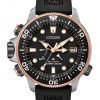 Citizen PROMASTER AQUALAND (Limited Edition No 2634/6000)