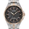 Citizen WORLD PERPETUAL A-T