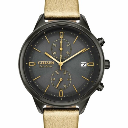 Citizen FB2007-04H
