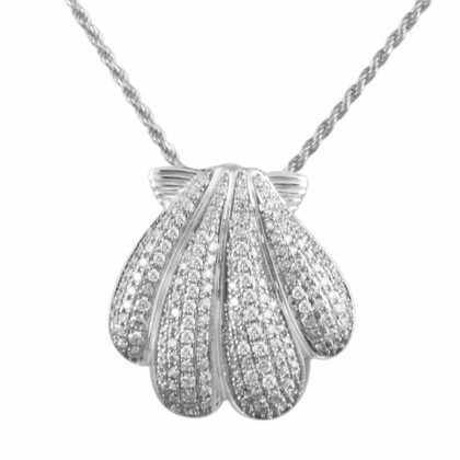 Sunrise Shell 268-11-01