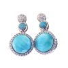 Silver Earrings - Larimar