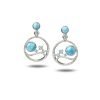 Silver Earrings - Larimar