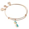 Alex and Ani Sunglasses Charm Bangle