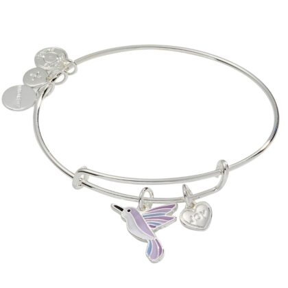 Alex and Ani AA754323SS