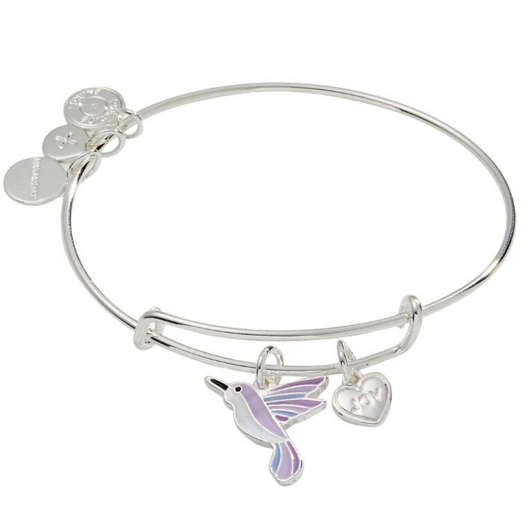 Alex and Ani AA754323SS
