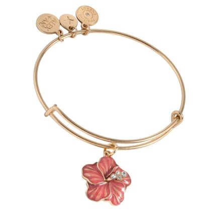 Alex and Ani AA959024SG
