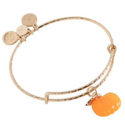 Alex and Ani AA1009224SG