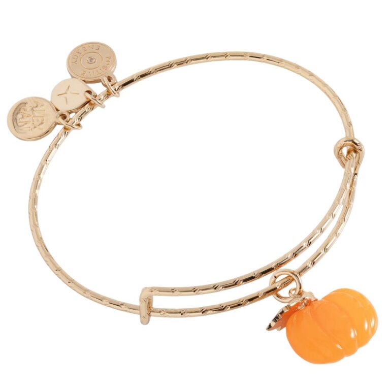 Alex and Ani AA1009224SG