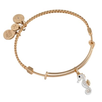 Alex and Ani AA946824TT