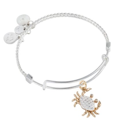Alex and Ani AA957424TT