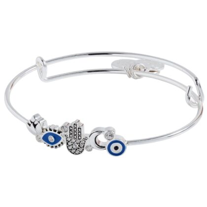 Alex and Ani AA998124SS