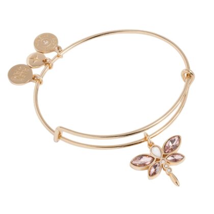 Alex and Ani AA836224SG