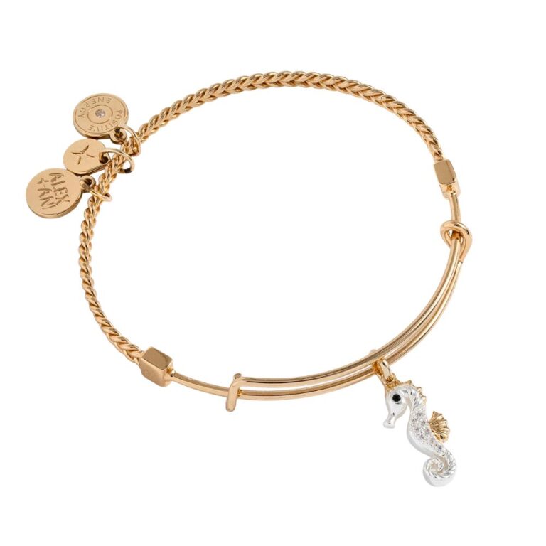 Alex and Ani AA946824TT