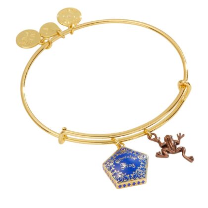 Alex and Ani AS771623TT